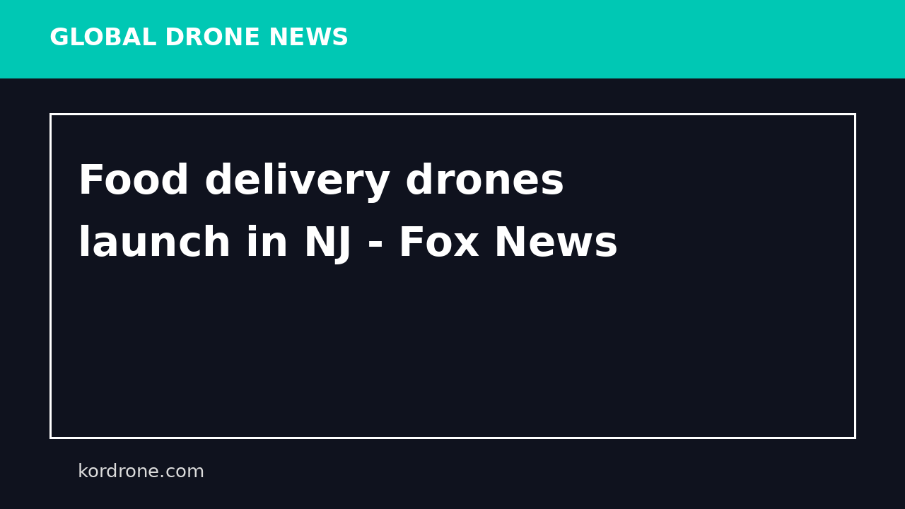 Food delivery drones launch in NJ - Fox News