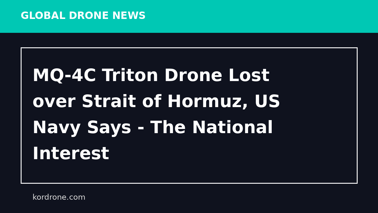 MQ-4C Triton Drone Lost over Strait of Hormuz, US Navy Says - The National Interest