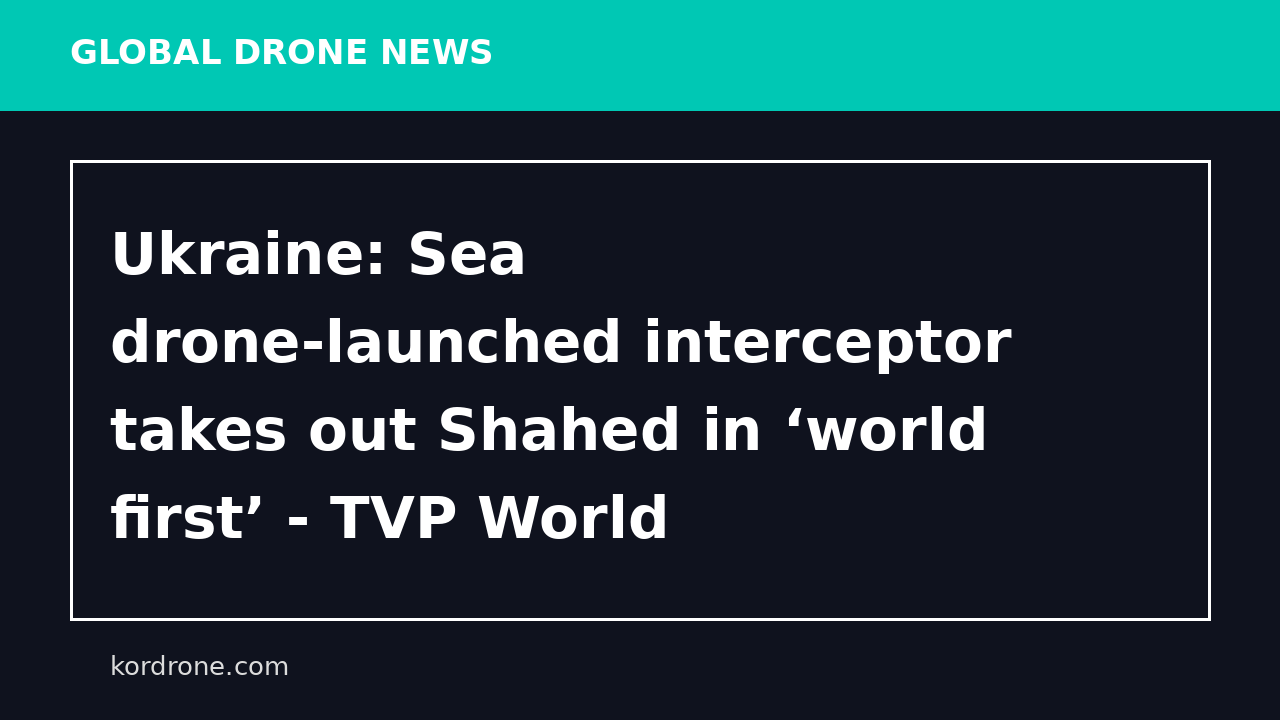 Ukraine: Sea drone-launched interceptor takes out Shahed in ‘world first’ - TVP World