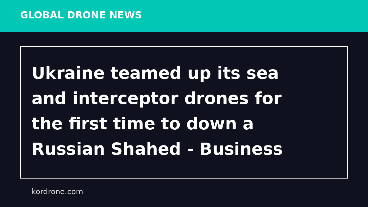 Ukraine teamed up its sea and interceptor drones for the first time to down a Russian Shahed - Business Insider