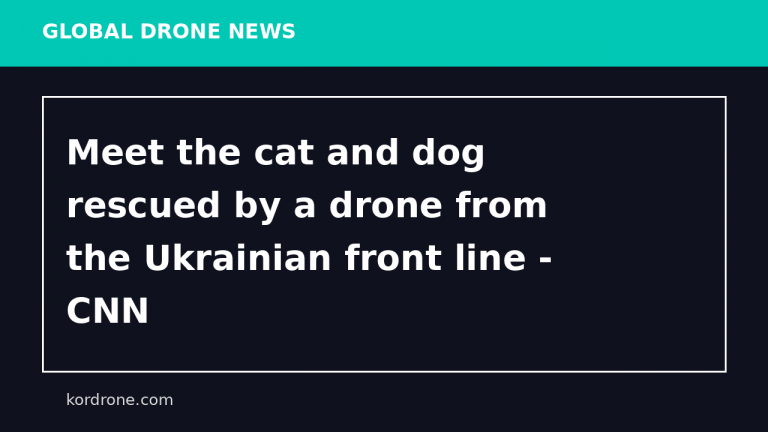 Meet the cat and dog rescued by a drone from the Ukrainian front line - CNN