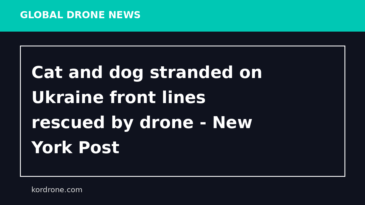 Cat and dog stranded on Ukraine front lines rescued by drone - New York Post