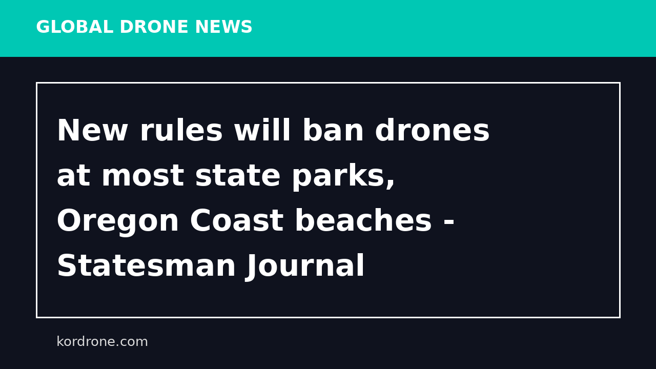 New rules will ban drones at most state parks, Oregon Coast beaches - Statesman Journal